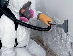 Best Airborne Mold Testing  in River Falls, WI